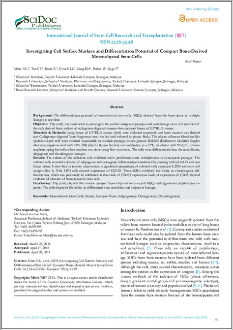investigating cell surface markers  differentiation potential
