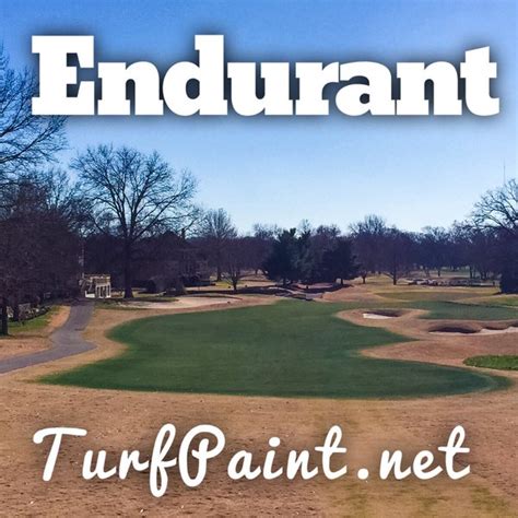 Before and after pictures of turf transformations - Endurant Turf Paint