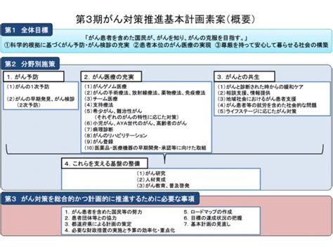 第3期がん対策の素案、予防・医療充実・共生・基盤整備すべてを重点分野に—がん対策推進協議会 Gemmed データが拓く新時代医療