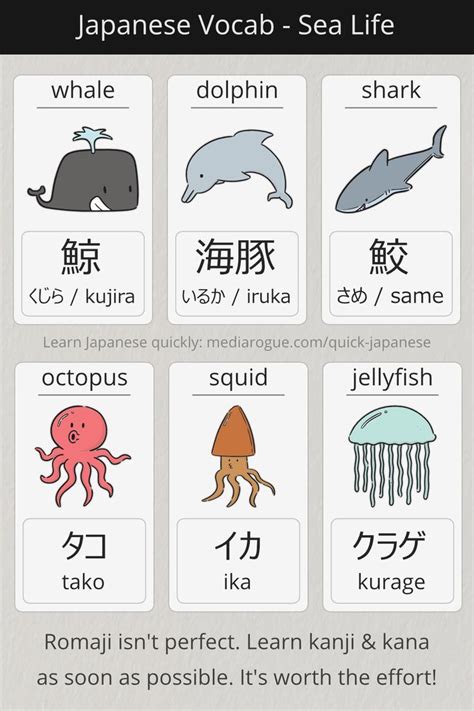 Japanese Ocean Life Learn Basic Japanese Basic Japanese Words