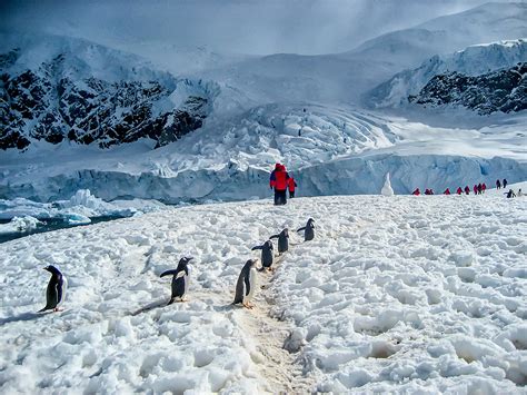 Ushuaia Argentina To Antarctic Peninsula Tour Whale Watching Drake