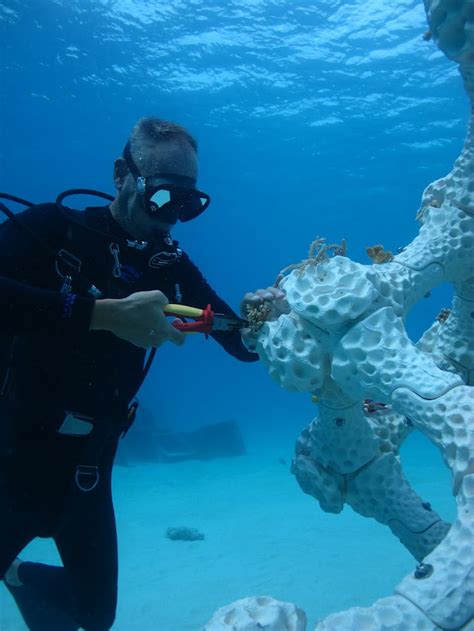 3d Printing Coral Reefs Can Create New Habitat But It Doesn T Tackle Human Destruction