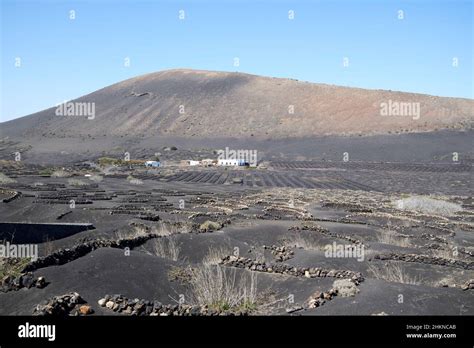 Muros De Piedra Que Rodean Los Vi Edos En Las Laderas Del Volc N