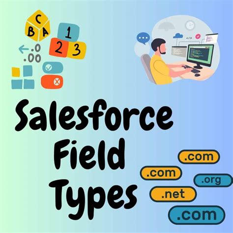 Salesforce Field Types - SalesForce FAQs