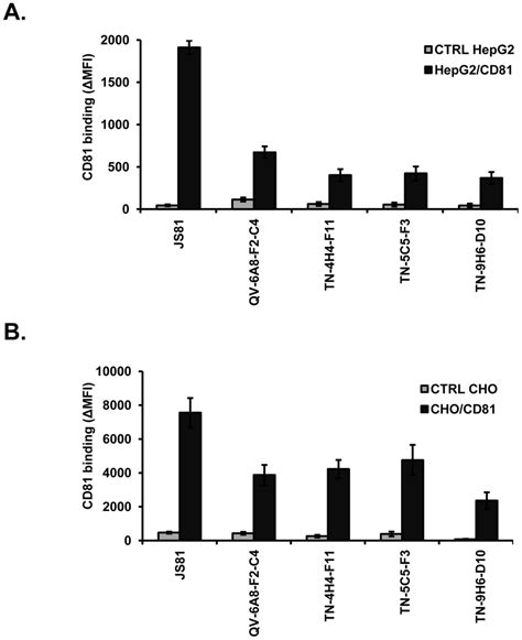 Production Of Cd81 Specific Mabs Directed Against Cell Surface Cd81 Download Scientific