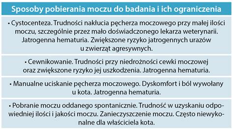 Choroby dolnych dróg moczowych u kotów nowe możliwości w