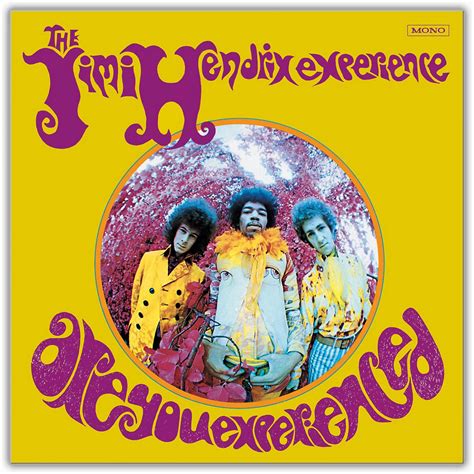 The Jimi Hendrix Experience Are You Experienced Vinyl Lp Musicians