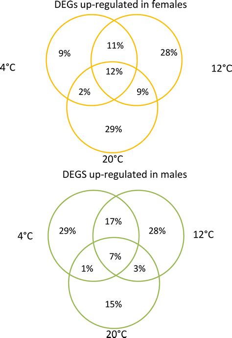 Frontiers Temperature Modulates Sex Biased Gene Expression In The