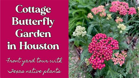 March Cottage Butterfly Garden In Houston Front Yard Tour With