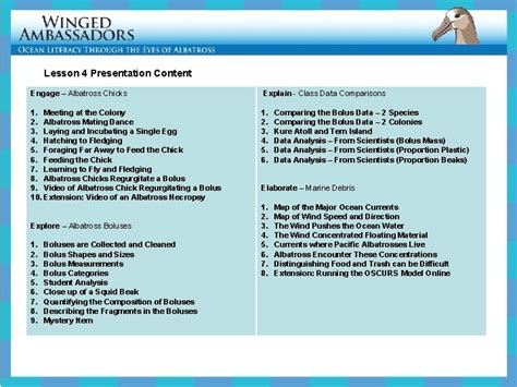 Lesson Bolus Analysis Lesson Presentation Content