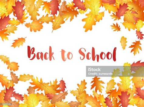 Back To School Background With Oak Leaf Vector Frame Stock Illustration