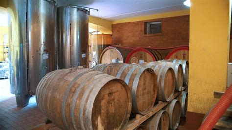 Winery Wine Vault Many Wooden Barrels Of Wine Are Stored In The