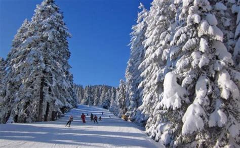 Borovets Ski Resort Guide Skiing In Borovets Ski Line