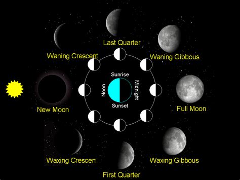 First Quarter Moon Phase Diagram