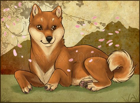 Shiba Inu By Etuix On Deviantart