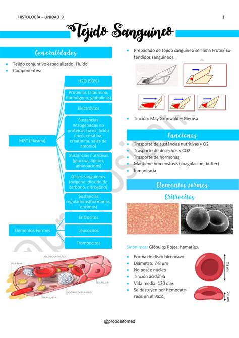 Unidad 9 Tejido Sanguíneo Tejido Sanguíneo Tejido conjuntivo
