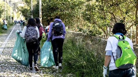 Acchianata Ecologica Sul Monte Pellegrino Il Giugno