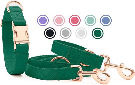 Weich Leder Hundehalsband Und Leine M Set Fach Verstellbar