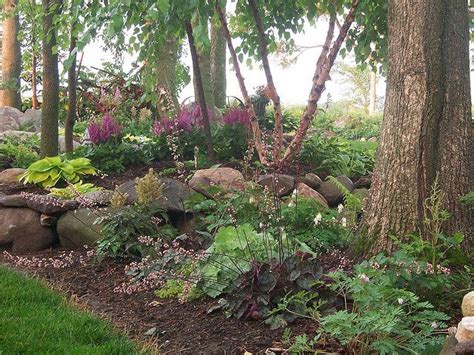 Shade Garden Coral Bells Hostas Mondo Grass Boston Ivy Ajuga And