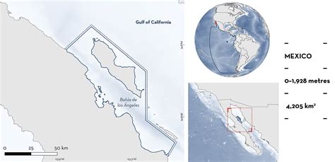 Bahía de los Ángeles ISRA - Important Shark Ray Areas