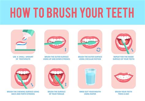 How to brush teeth. Correct tooth brushing education instruction, toot ...