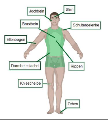 Prophylaxen In Der Pflege Flashcards Quizlet