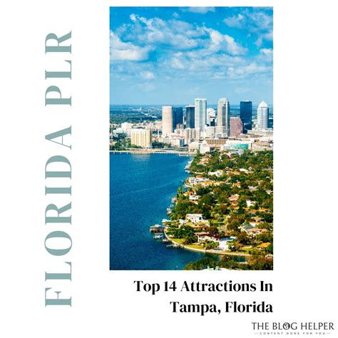 Top 14 Attractions In Tampa Florida - The Blog Helper