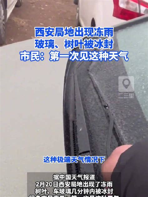 西安局地出现冻雨，玻璃、树叶被冰封，气象台发布道路结冰黄色预警信号 新浪新闻