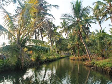 Munroe Island Kerala - A Hidden Treasure - Travel Melodies