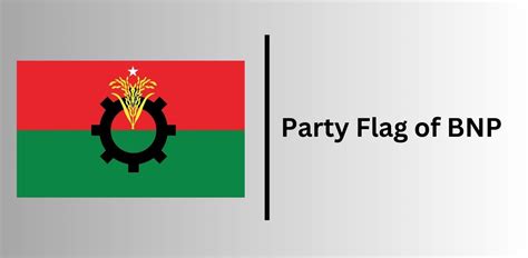 Party Flag