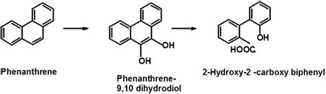 Degradation Pathways Of Phenanthrene Download Scientific Diagram