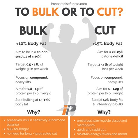 💥 How Do You Know Whether Bulk Or Cut 💥 💪🏻 First Of All The Terms