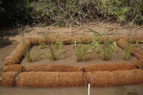 Coir Logs Sediment Control And Slope Stabilization Solutions