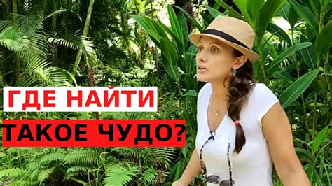 ЛЕСА АМАЗОНКИ В ИЗРАИЛЬСКОМ МЕГАПОЛИСЕ - YouTube