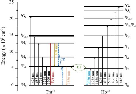 The energy level diagram and energy transfer mechanisms of Tm³ Ho³