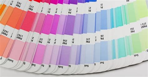 Colores Pantone ¿qué Son Y Cómo Utilizarlos