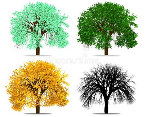 Vier Jahreszeit Baum Zusammenfassungs Wiedergabe Stock Abbildung