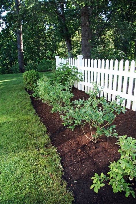 A Country Farmhouse Our Berry Garden Berry Garden Beautiful Gardens