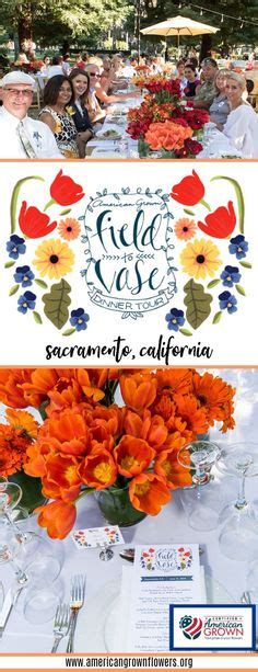 Field To Vase Events Ideas Flower Farm Flowers Field