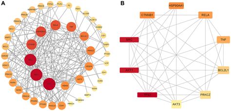 Exploring The Effect And Mechanism Of Aloin A Against Cancer Cachexia