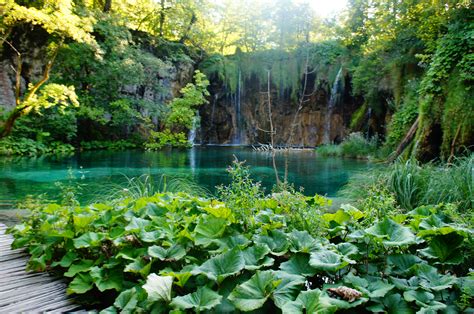 Plitvice Lakes National Park | Plitvice lakes national park, National ...