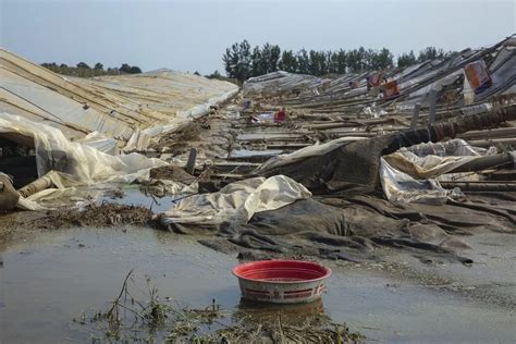 山东寿光：受灾乡村灾情严重 抢险救灾紧急启动新闻频道央视网