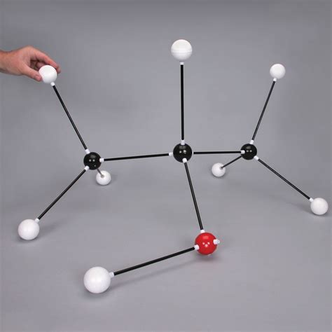 Giant-Size Chemistry Model Set | Carolina.com