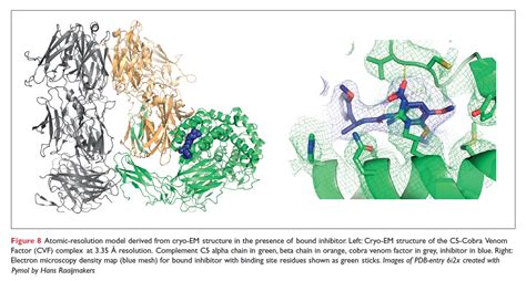 Cryo Em Accelerates Drug Discovery By Delivering Previously Intractable Structural Insights