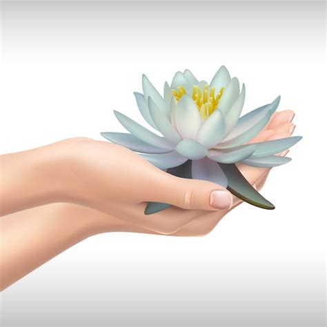 Premium Vector Hands Holding Water Lilly Or Lotus