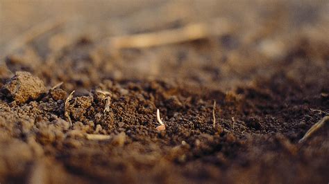 How to cultivate in different soil structures | Väderstad