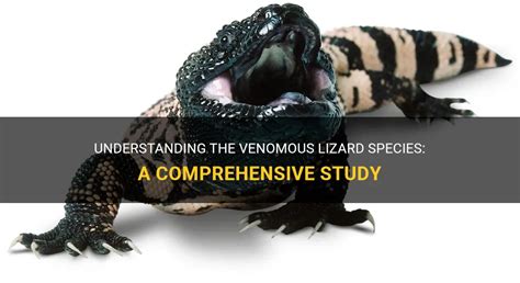 Understanding The Venomous Lizard Species A Comprehensive Study Petshun