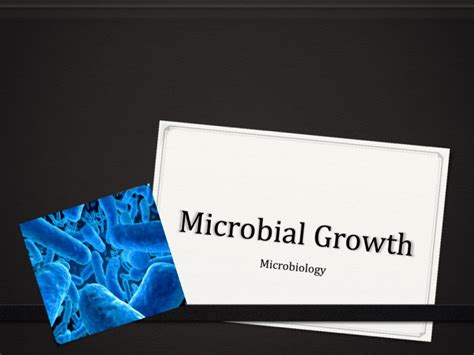 The Control Of Microbial Growth