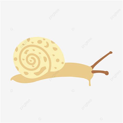 Caracol Salvaje Png Im Genes Predise Adas De Caracol Caracol Salvaje