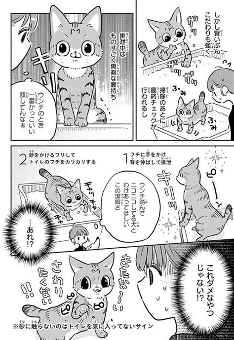 「犬猫マンガ更新したよ 犬がかわいい回 」ちとせの漫画